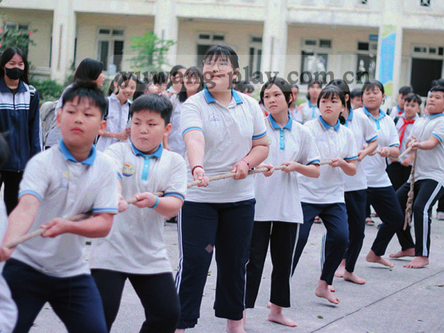 示意图：四个大小不同的圆角方块拼成一个大矩形，用深浅绿色区分运营、技术、客服、内容四个小组的人数比例